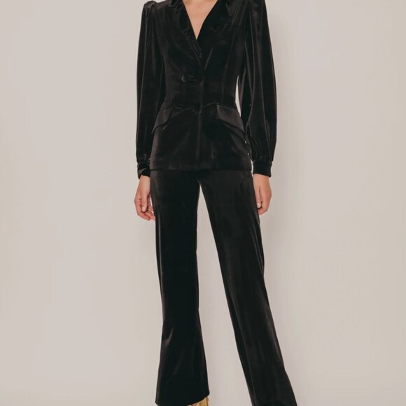 BNWT Cherubina Bush Velvet Pants XXS - Picture 3 of 3